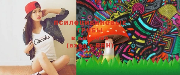 прущие грибы Майский