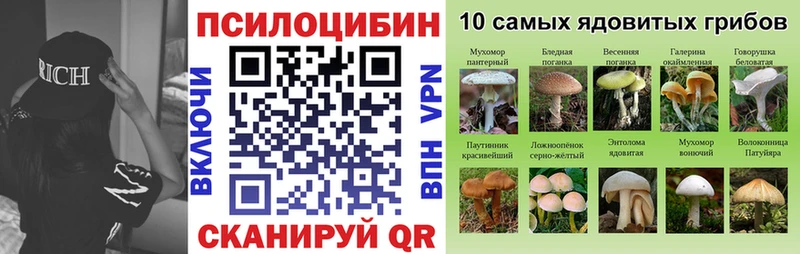 Галлюциногенные грибы Magic Shrooms  Купить где  Скопин 